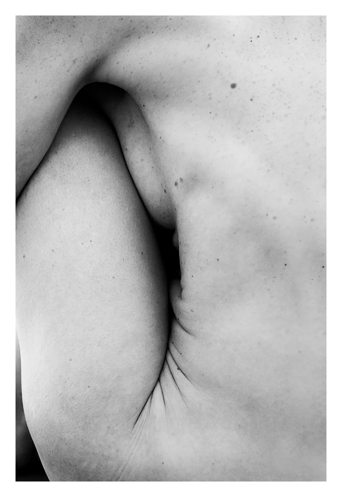 Primer plano de un costado desnudo con los pliegues de la piel formando líneas, en luz suave