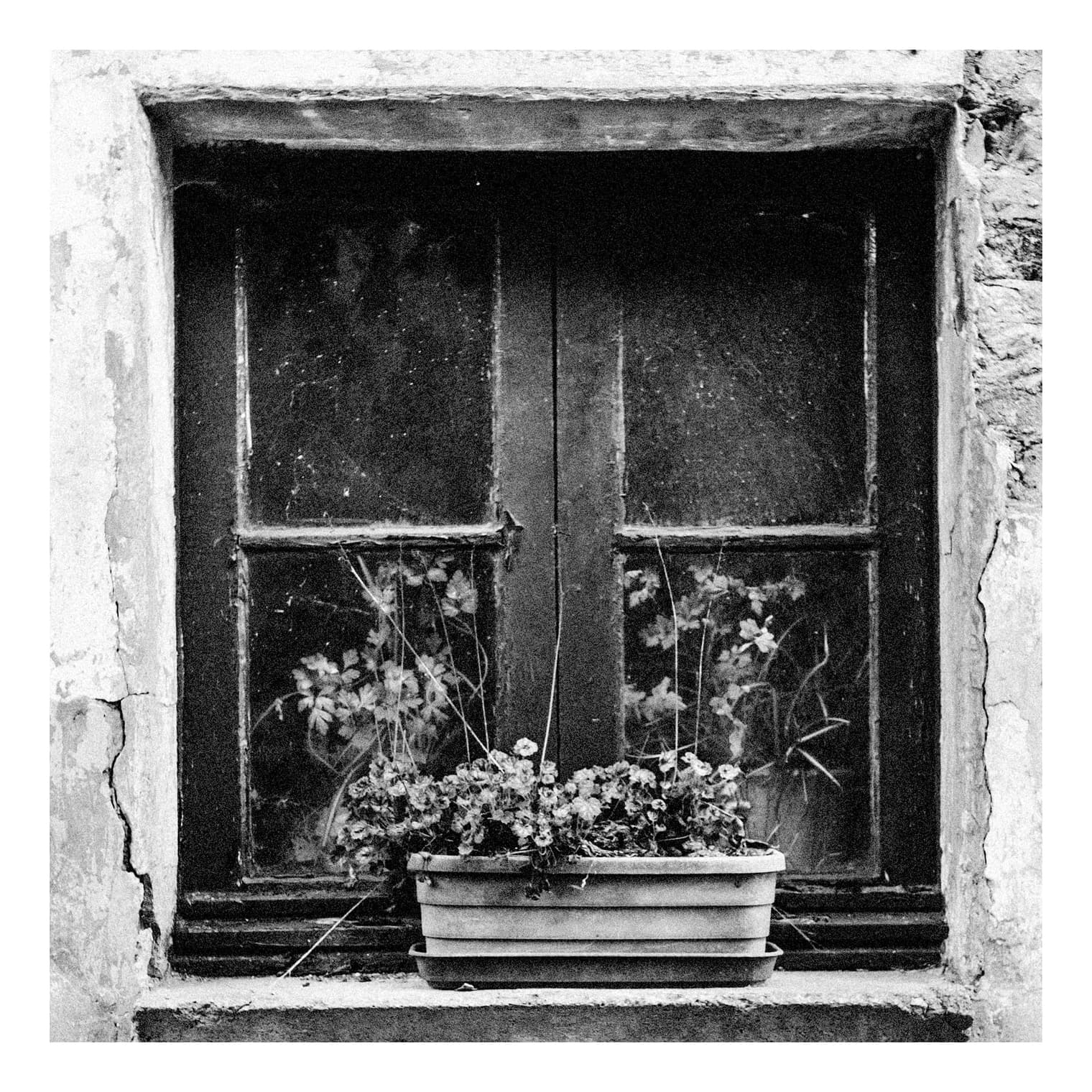 Ventana antigua de madera oscura con una jardinera de flores en el alféizar sobre un muro encalado