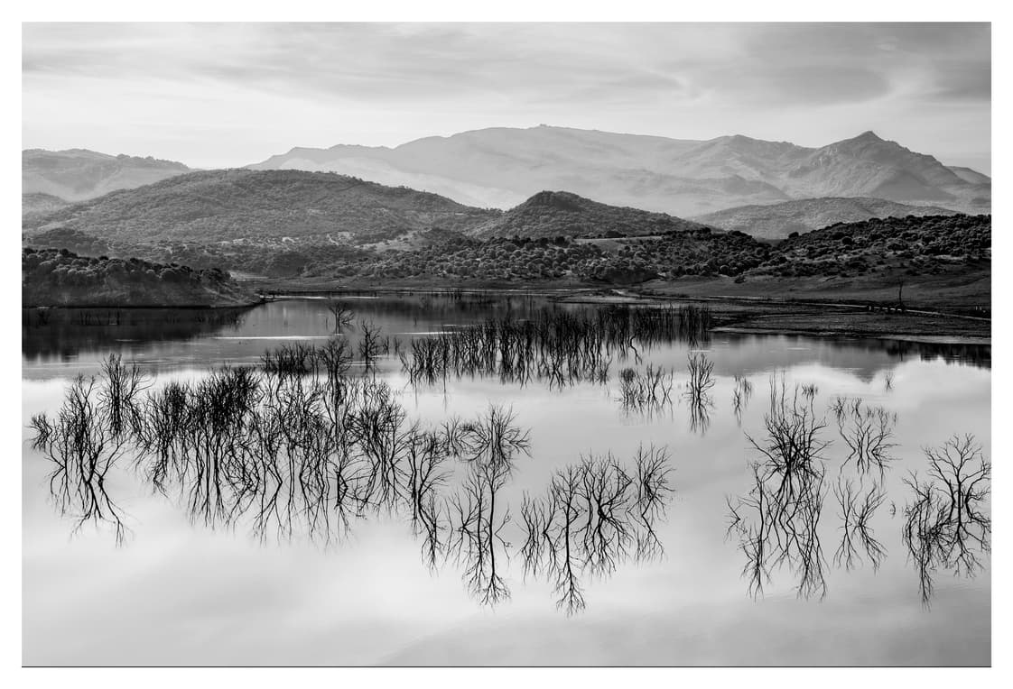 Embalse en calma con árboles secos emergiendo del agua y sierras encadenadas al fondo